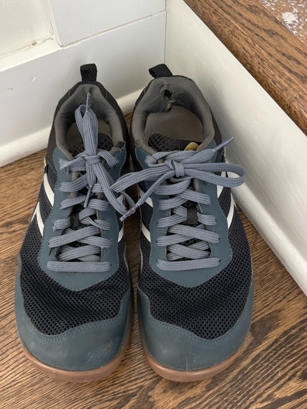 Lems Lace-ups